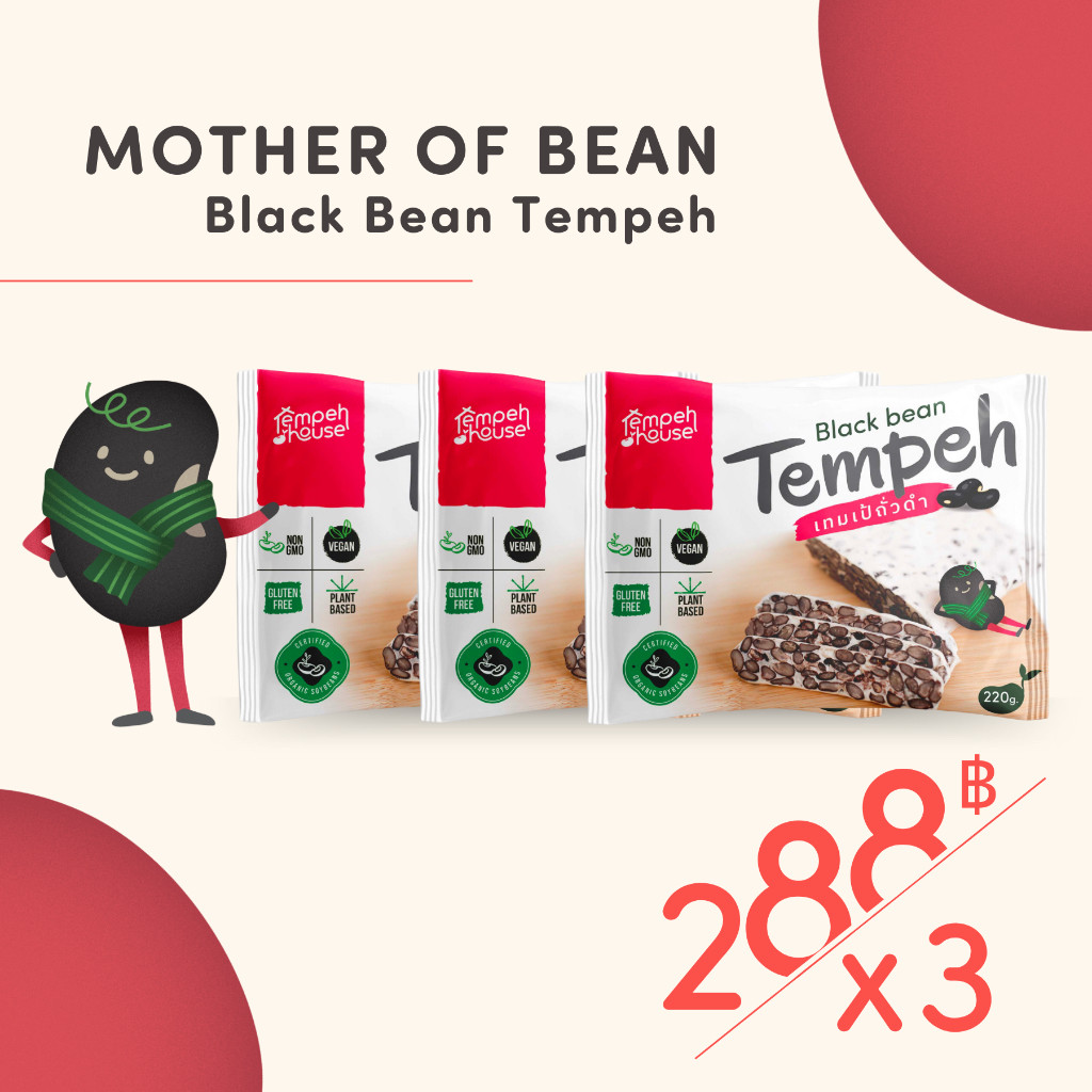 เทมเป้ถั่วดำ Black Bean Tempeh x3