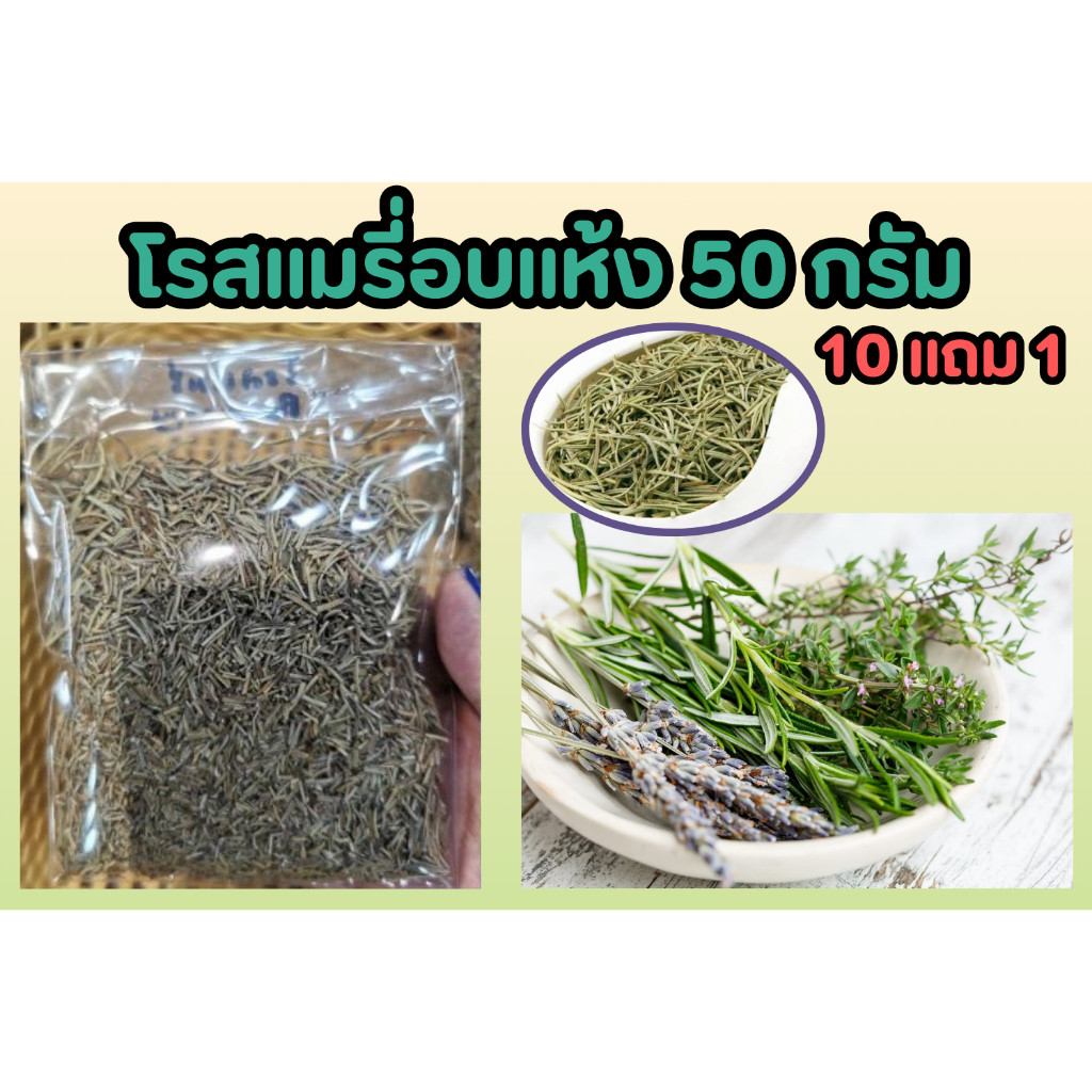 โรสแมรี่อบแห้ง 50 กรัม .ใบโรสแมรี่ อบแห้ง ป้องกัน บำรุง ดูแล พืช สมุนไพรไทย เครื่องเทศ ตำรับยา อภัยภูเบศน์ ต้นไม้สมุนไพร