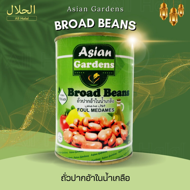 Fava bean Broad Beans foul Medames 397 g. x24