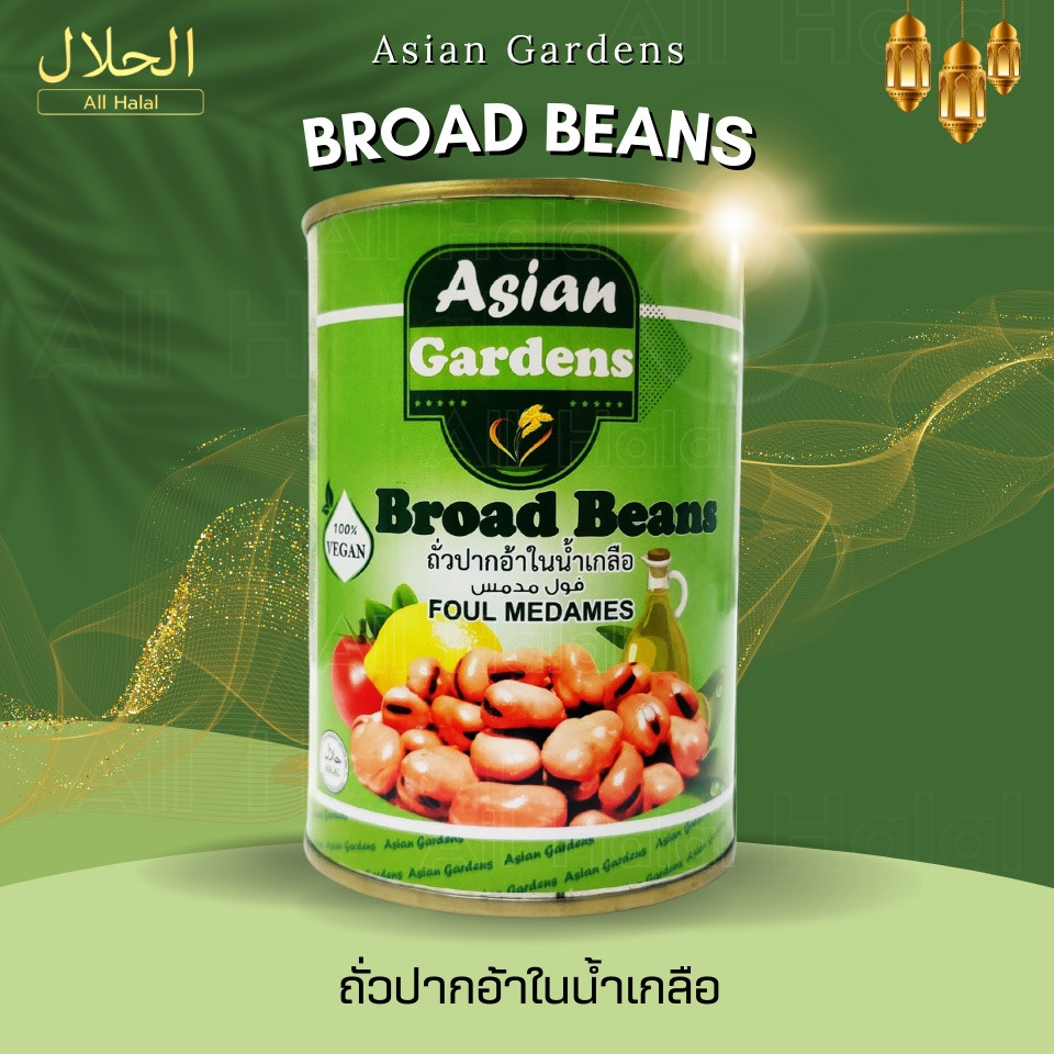 Fava bean Broad Beans foul Medames 397 g. x24
