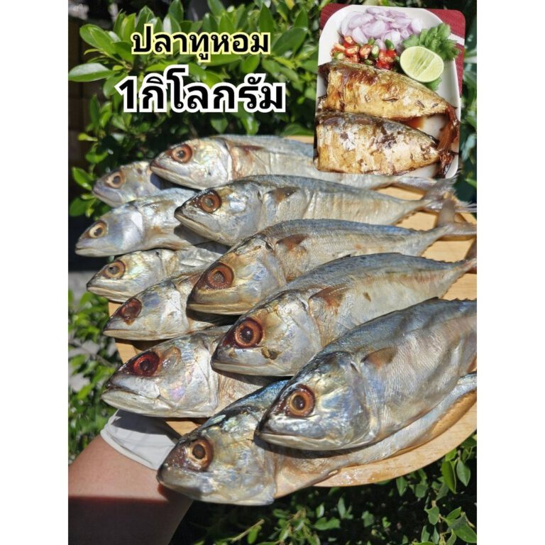 ปลาทูหอมแม่กลองเกรดA 1กิโลกรัม สินค้าตรงปก