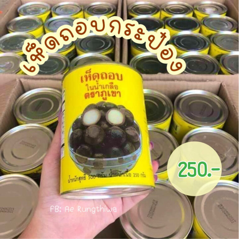 เห็ดเผาะ เห็ดถอบกระป๋อง ในน้ำเกลือ