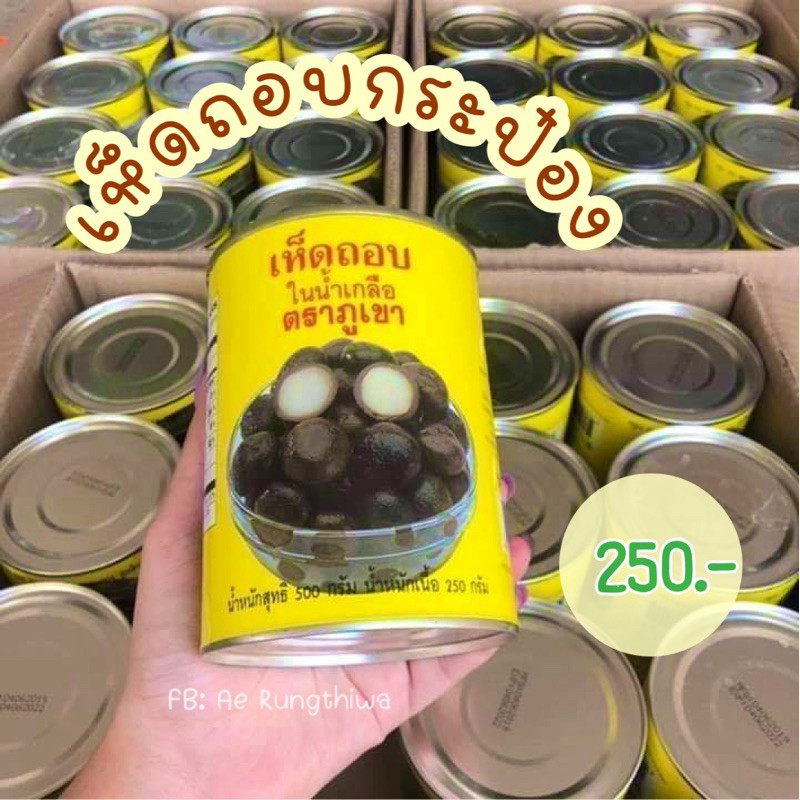 เห็ดเผาะ เห็ดถอบกระป๋อง ในน้ำเกลือ