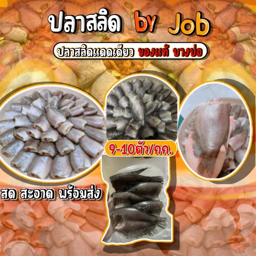 ปลาสลิดแดดเดียว บางบ่อแท้ 1Kg เนื้อแน่น ตัวใหญ่ กรอบ หอม ไม่เค็มจัด พร้อมทอด จ๊อบจัดสลิด พร้อมส่ง